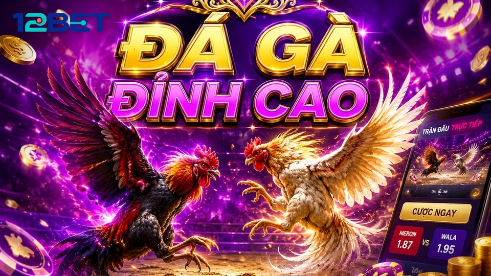 Xem luồng trực tiếp hay bảng dữ liệu: Hai cách đọc phiên đá gà 12BET